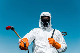 Professional Pest Control in Craig Beach, OH